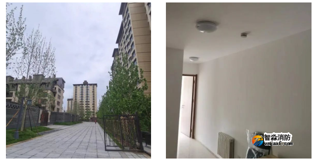 1652947074201029.png image.png