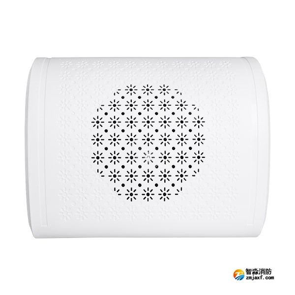 海灣HY6253壁掛揚聲器