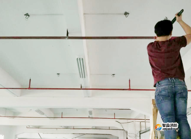 1733708446676881.png image.png