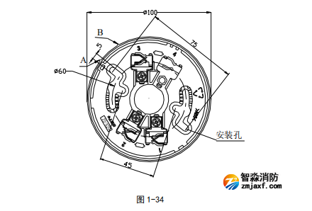 1735521915207008.png image.png