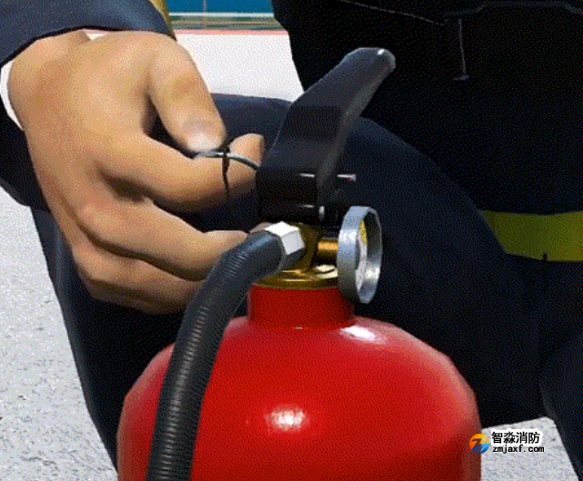 1737510854163703.png image.png